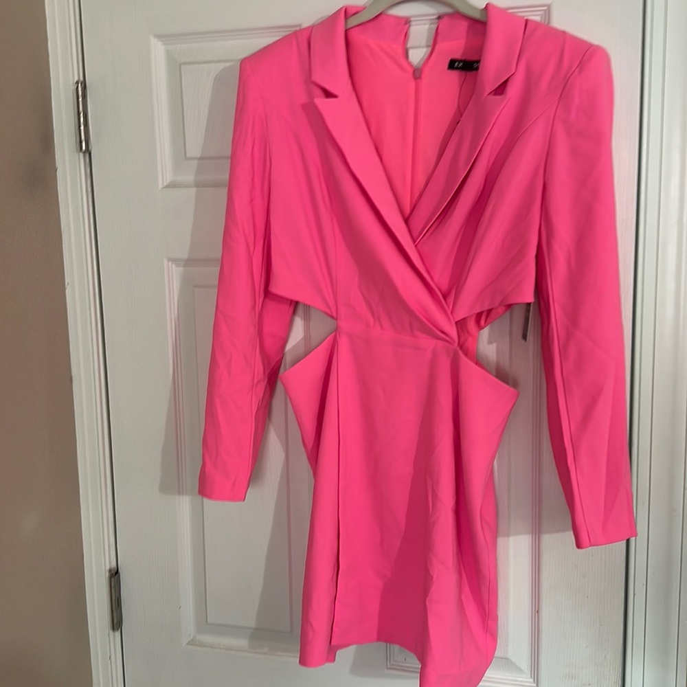 Express Pink Long Sleeve Dress